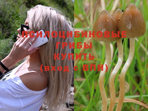 гашишное масло Арсеньев