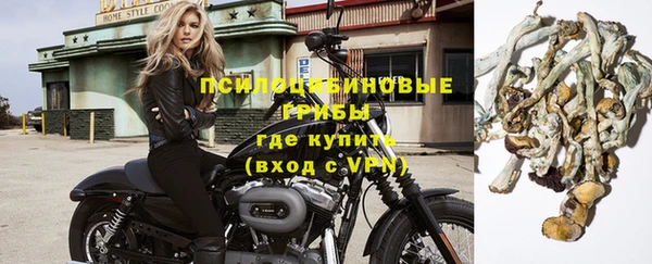 стаф Армянск