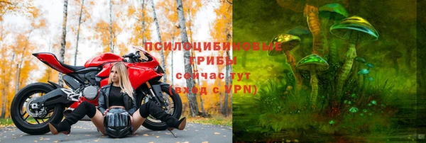 стаф Армянск