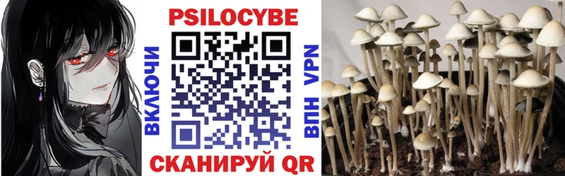 Псилоцибиновые грибы GOLDEN TEACHER  Покров 